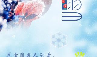 公司小雪节气文案