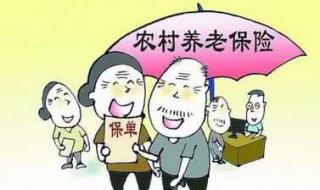 劳动局养老保险新政策