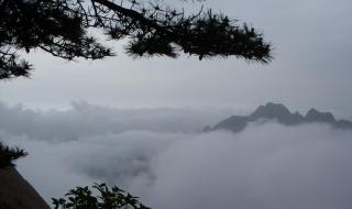 上海到黄山旅游攻略