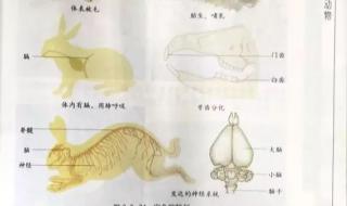 七年级上册期末考试生物重点考哪里